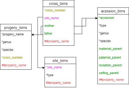 Cross_BIMS_Template_Diagram.png 